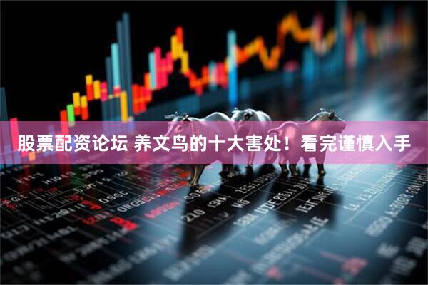 股票配资论坛 养文鸟的十大害处！看完谨慎入手