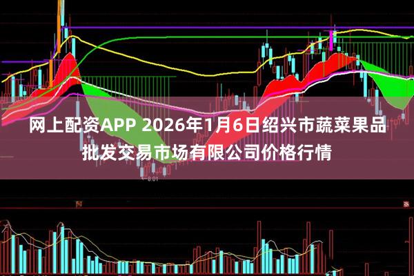 网上配资APP 2026年1月6日绍兴市蔬菜果品批发交易市场有限公司价格行情